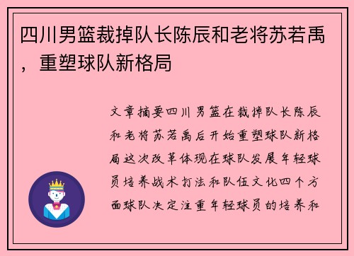 四川男篮裁掉队长陈辰和老将苏若禹，重塑球队新格局